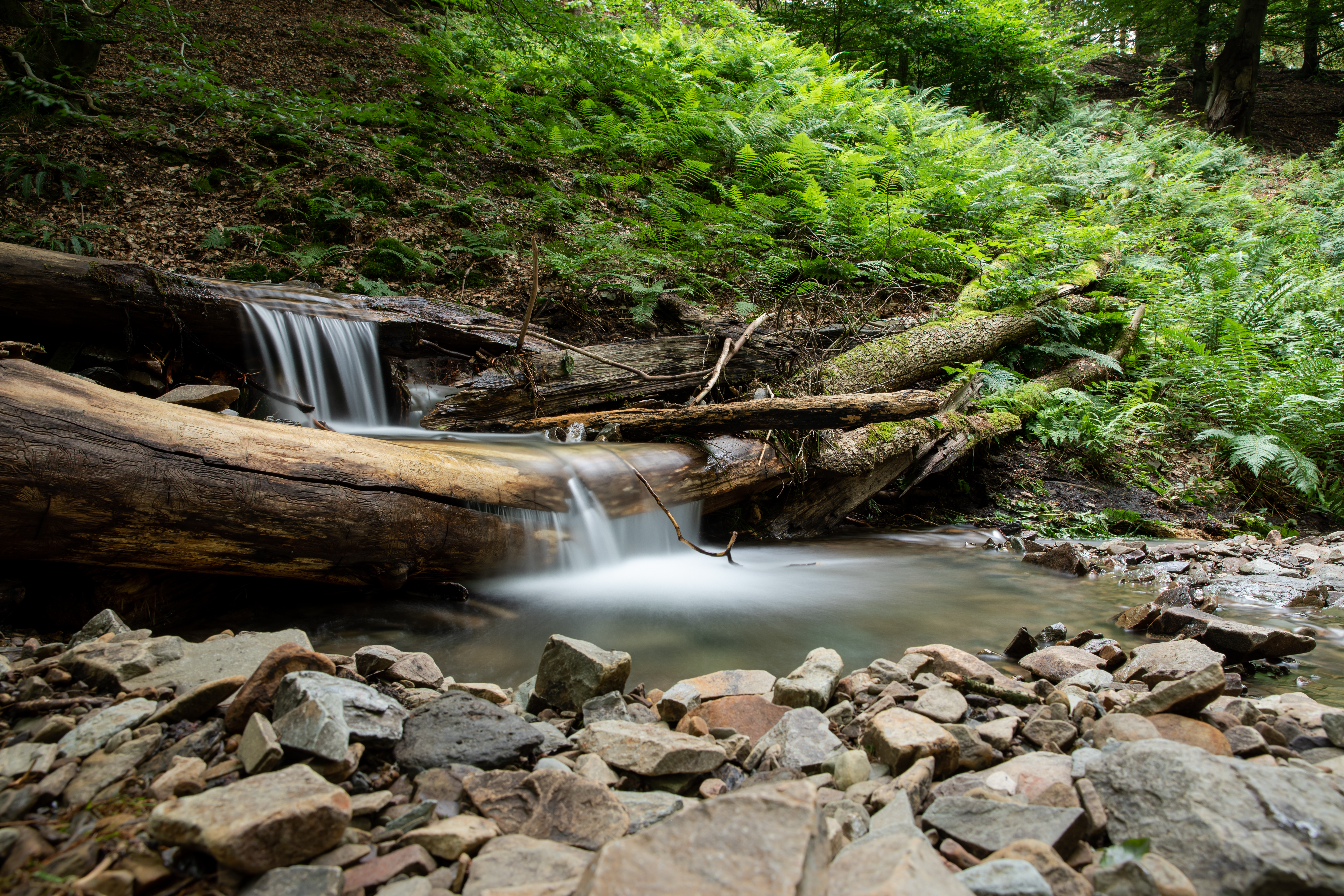 MEERESFORSCHUNG IM SAUERLAND