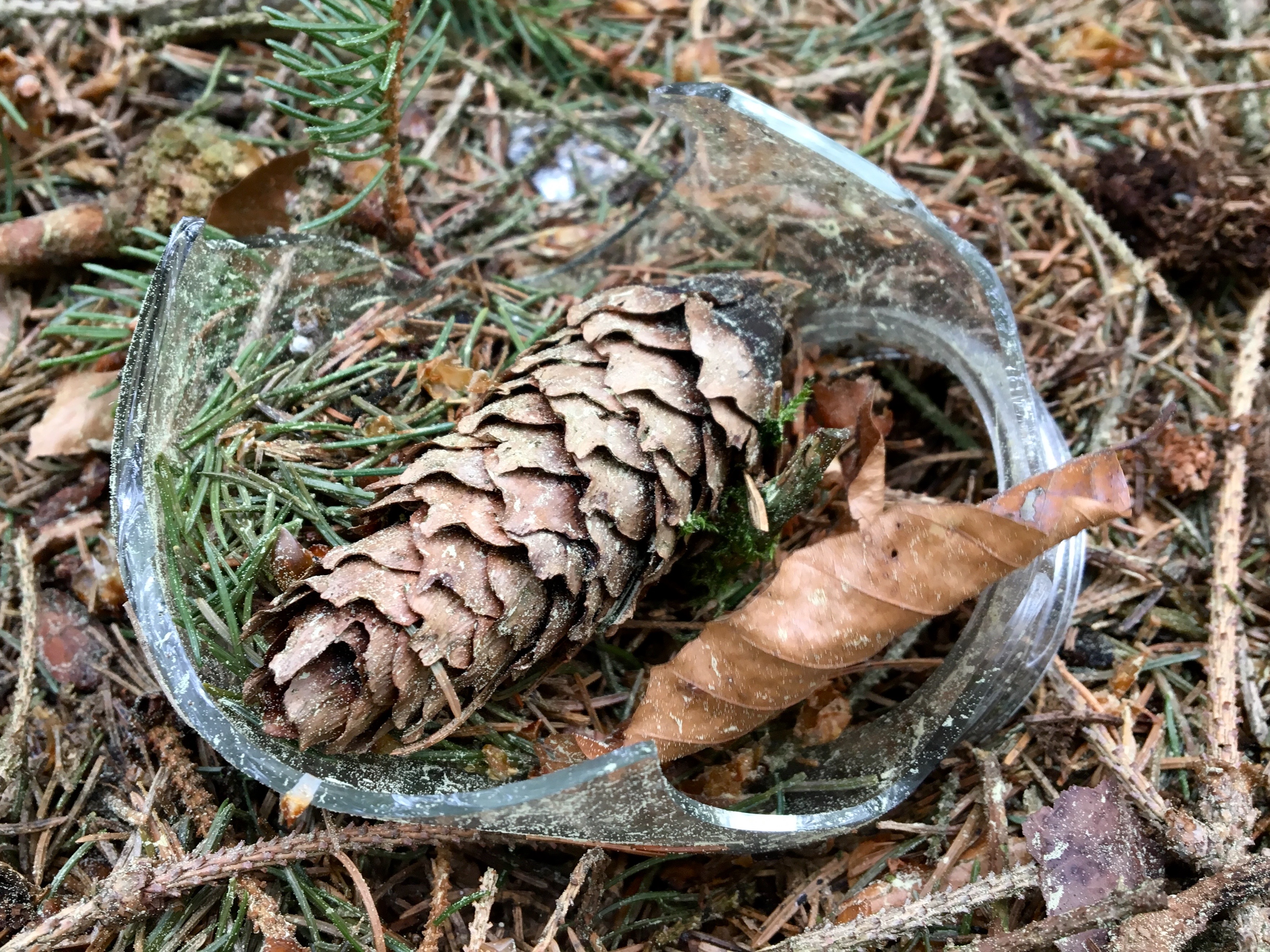 MAL WAS ANDERES – part II